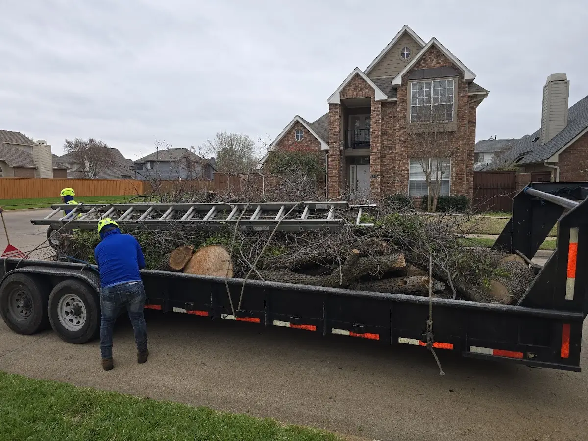 Expert Tree Pest Control with proper safety equipment in Hufsmith
